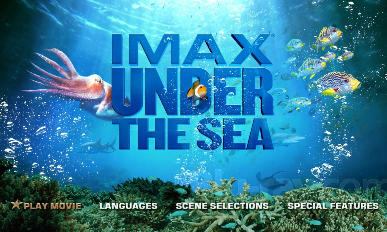 Xem phim Dưới Lòng Đại Dương  - Under the Sea 3D (2009)