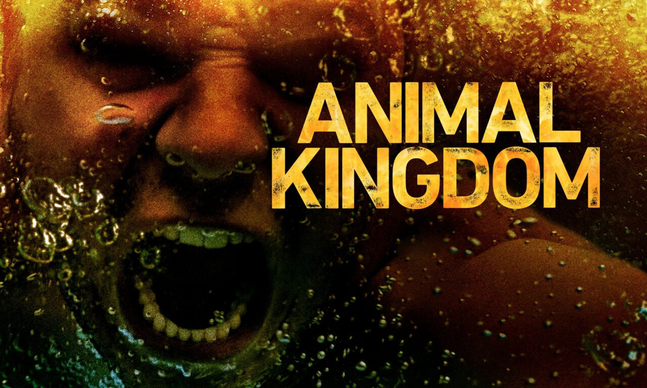 Xem phim Vương Quốc Động Vật ( 3)  - Animal Kingdom (Season 3) (2018)