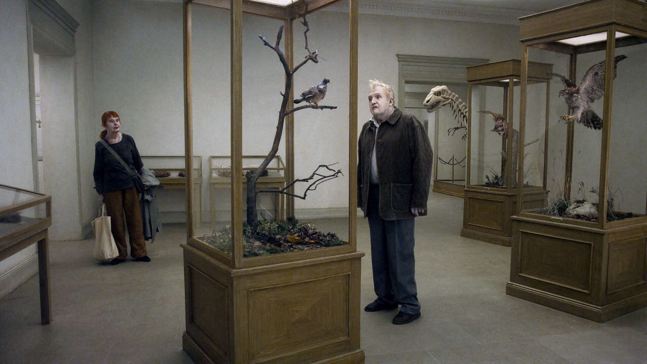 Xem phim Nhìn Cuộc Đời Qua Đôi Mắt Chim Câu  - A Pigeon Sat On A Branch Reflecting On Existence (2014)