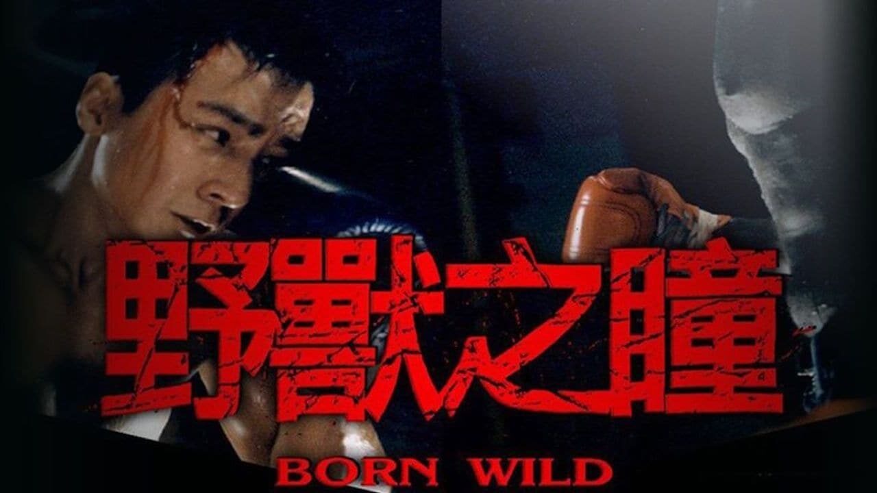 Xem phim Dã Chiến Giang Hồ  - Born Wild (2001)