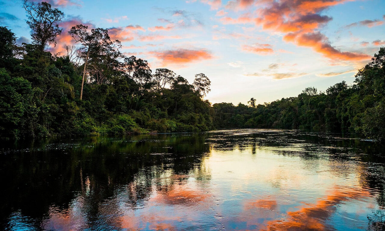 Xem phim Những Dòng Sông Hùng Vĩ Trên Trái Đất  - Earths Great Rivers (2019)