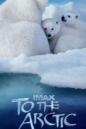 Tập full Hành Trình Đến Bắc Cực - To the Arctic (2012)-To the Arctic