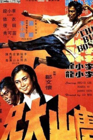 Xem phim Đường Sơn Đại Huynh  - The Big Boss (1971)