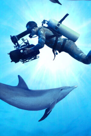 Tập full Diving with Dolphins - Diving with Dolphins (2020)-Diving with Dolphins