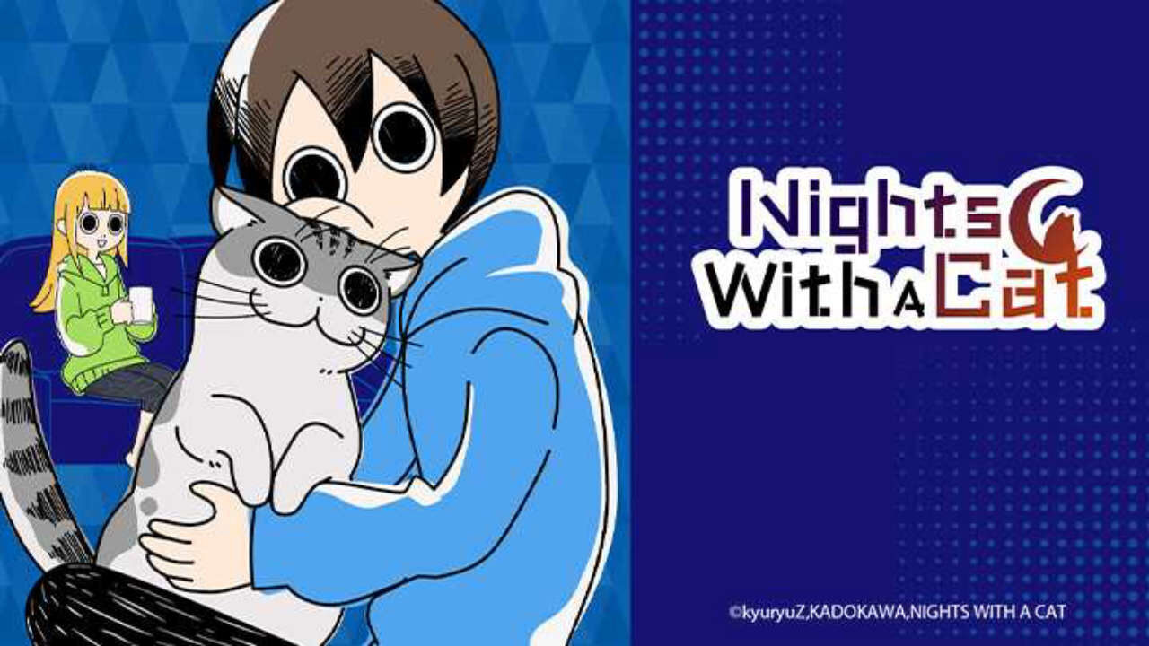 Poster of Nights with a Cat